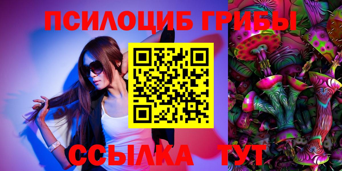 Псилоцибиновые грибы Psilocybine cubensis Тосно