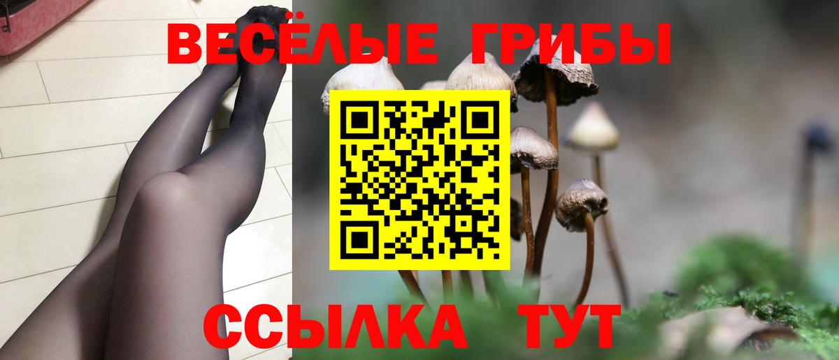 Галлюциногенные грибы Cubensis  даркнет сайт  Тосно  Вход с VPN  Псилоцибиновые грибы Magic Shrooms 